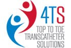 Top to Toe Transcatheter Solutions (4TS)